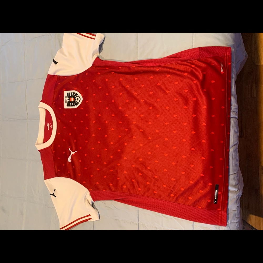 Men’s 20/21 Austria Puma soccer jersey